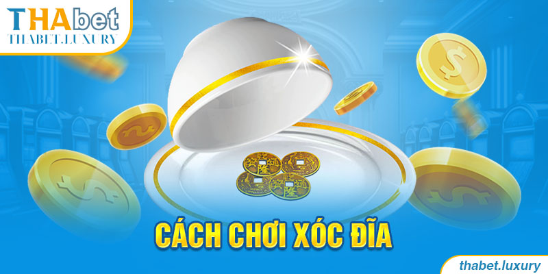 Cách chơi xóc đĩa