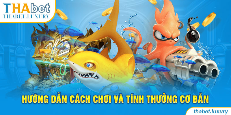 Hướng dẫn cách chơi và tính thưởng cơ bản