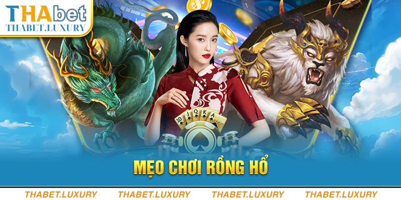 Mẹo chơi rồng hổ