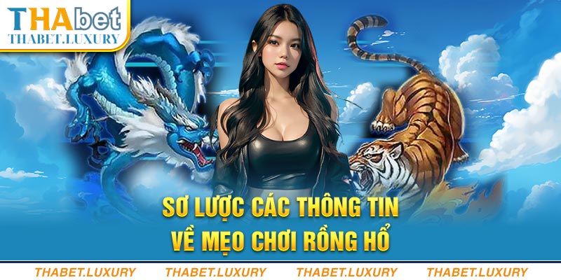 Sơ lược các thông tin về mẹo chơi Rồng Hổ